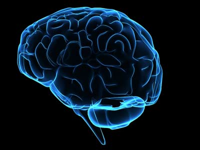 Mental Illness Predicted by Studying Brain Patterns