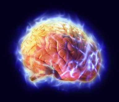New Drug Shows Promise Growing Brain Cells