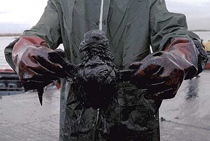 Gulf Oil Spill To Damage Mental Health