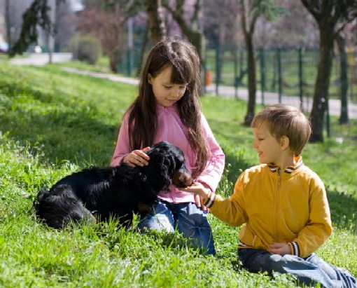 pettingdog - Mental Health News
